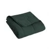 Budget ???? Sleepmode 12 Lb. Microfiber Weighted Blanket Green ????